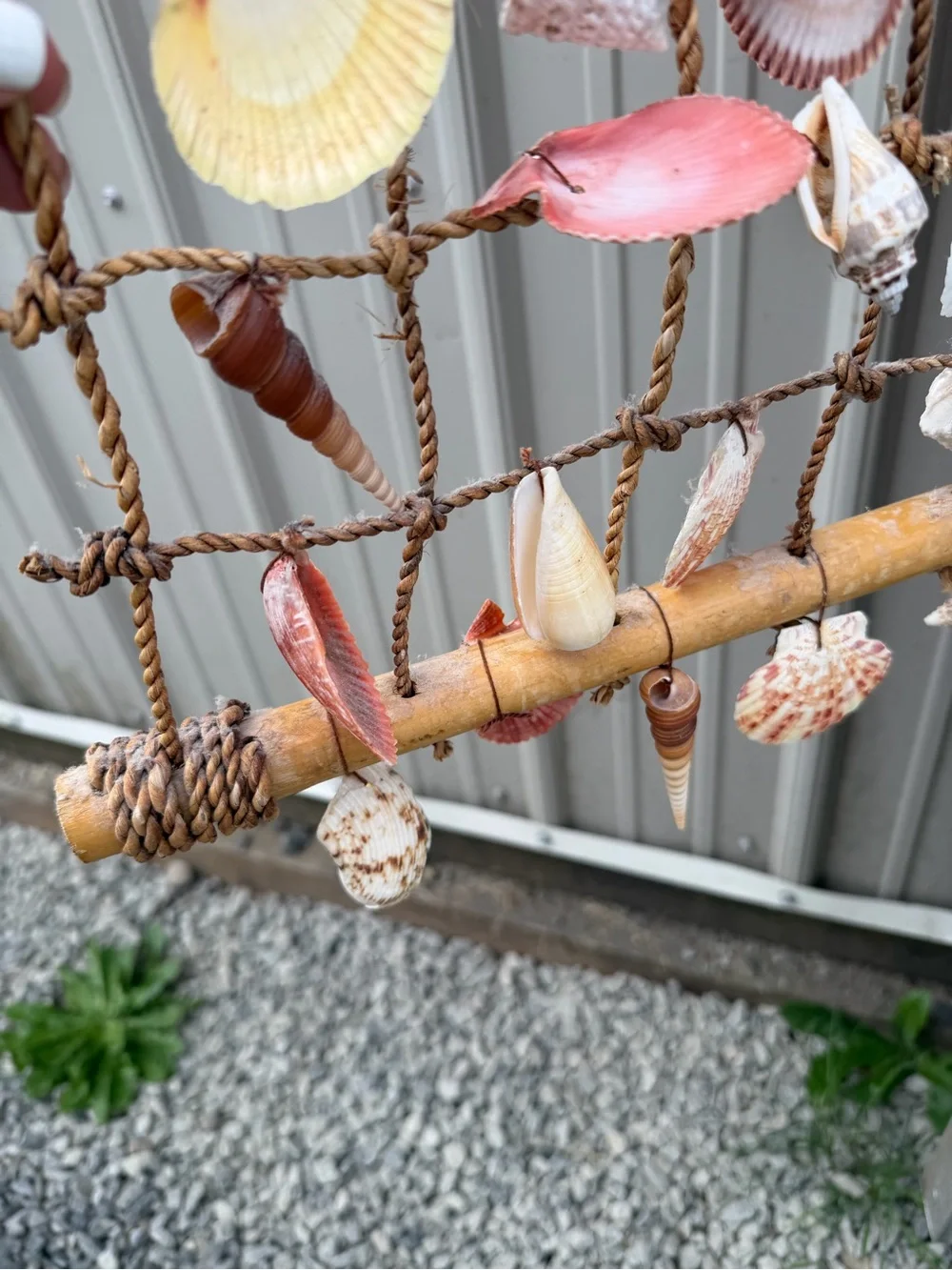 Seashell Net Wall Hanging